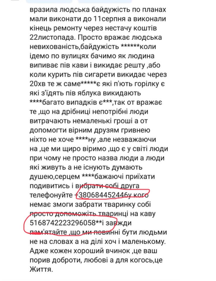 130449909 1416276978707908 1232792490473571510 n