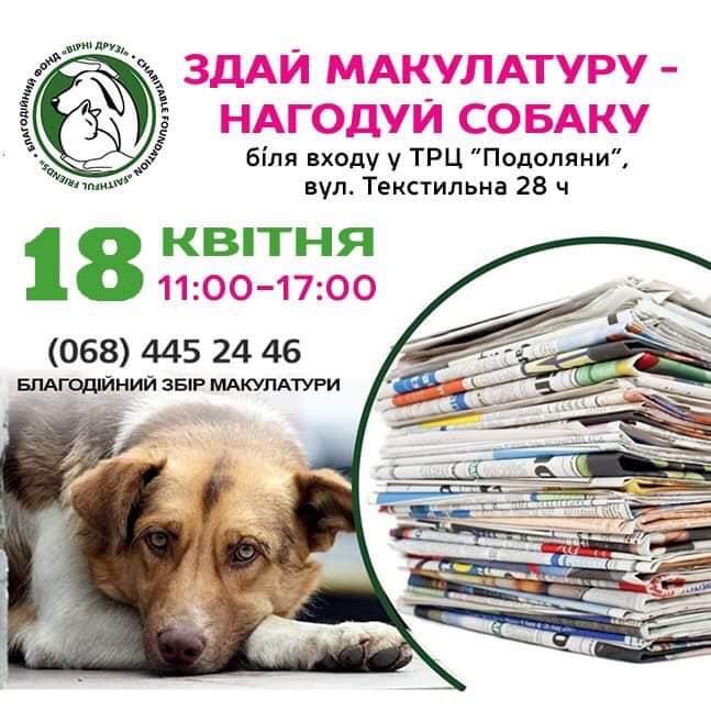 169720330 1502180046784267 4637960406280002308 n