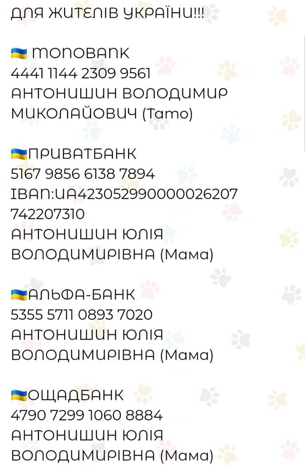 242097900_3091472804457053_7051921559322742999_n.jpg