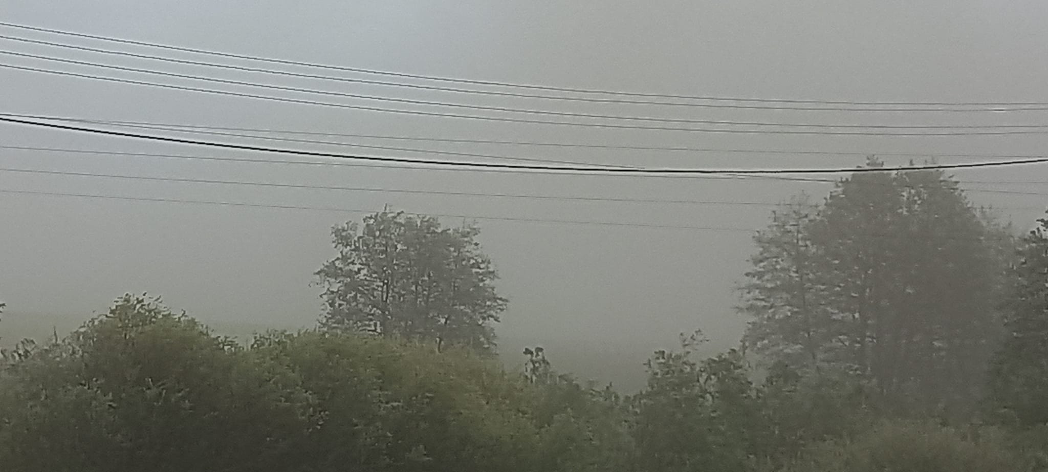 283343741_1986604348202333_2392719843950143205_n.jpg