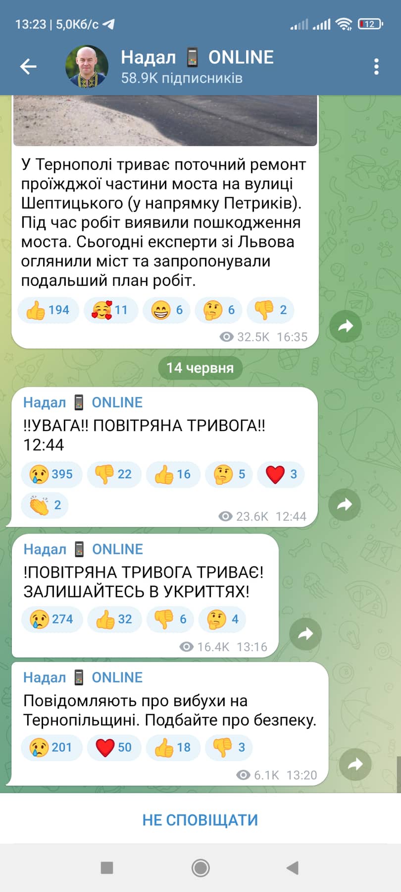 287386283 541661504095902 4573268634743617910 n