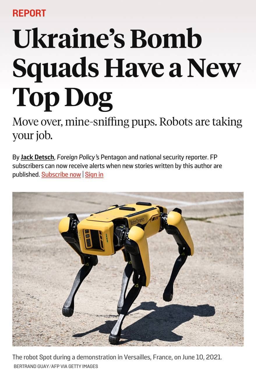 289160071 1098577397669982 2468017377777233282 n 1