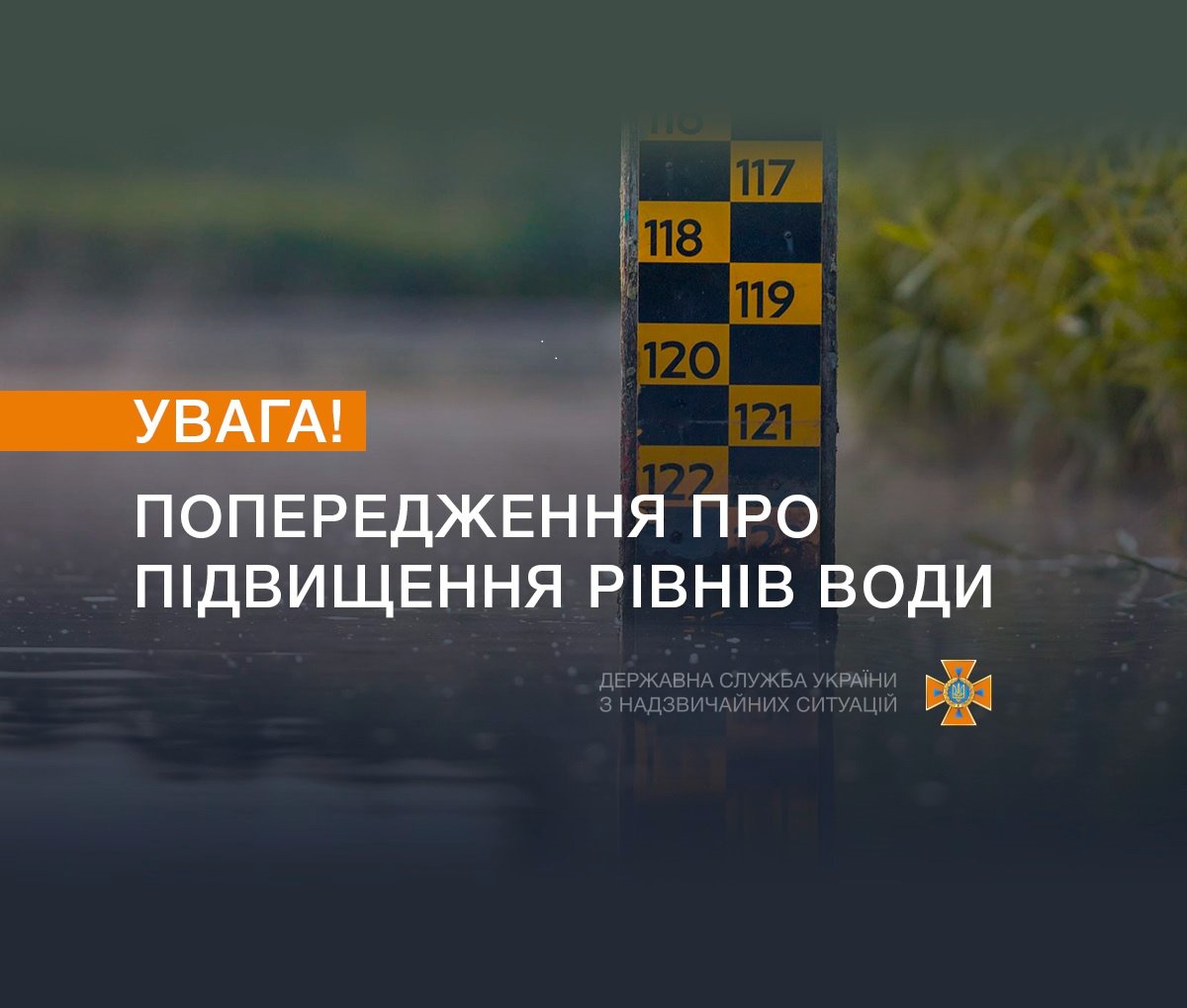 291568161_407613494739879_577451039605741056_n.jpg