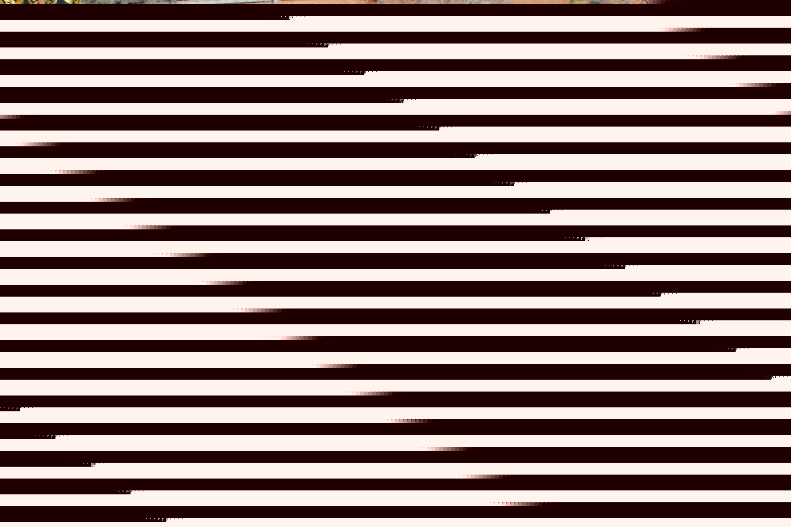 332194083_930248048162174_2226033599382451682_n.jpg