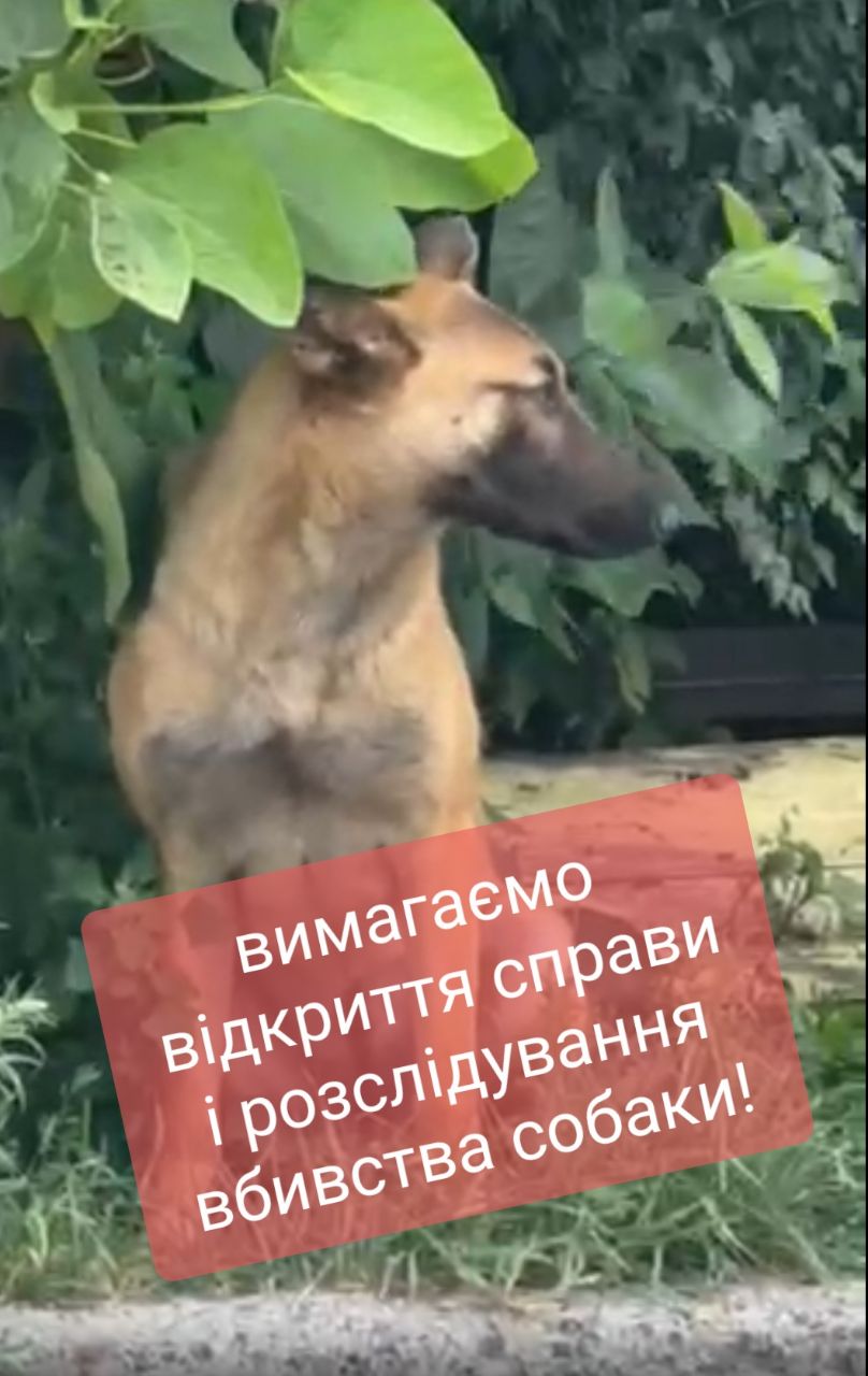 436917662_10220019187349686_7183920185367395692_n.jpg