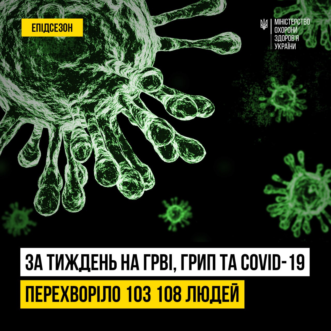 445186089_892610512893166_440407026802836216_n.jpg