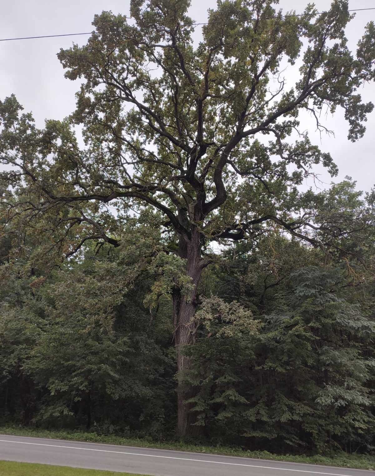 566219174_828897299688426_4324919071339467472_n.jpg