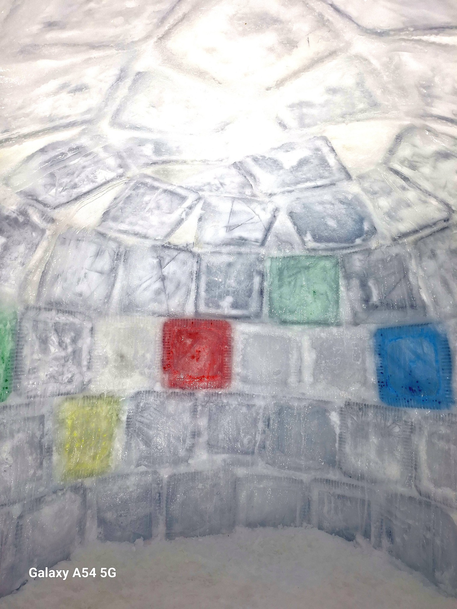 619163462_4310384245946920_5859879904171082847_n.jpg