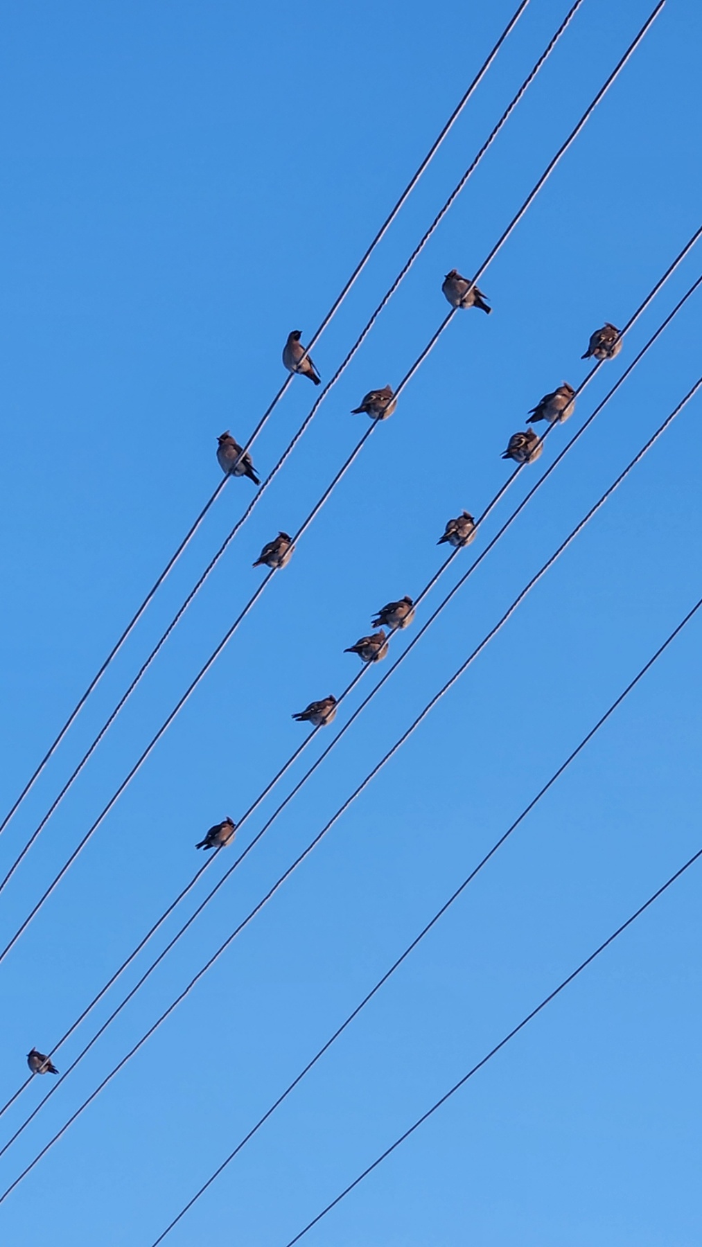 619963318_1197999595776957_8398490531538437113_n.jpg