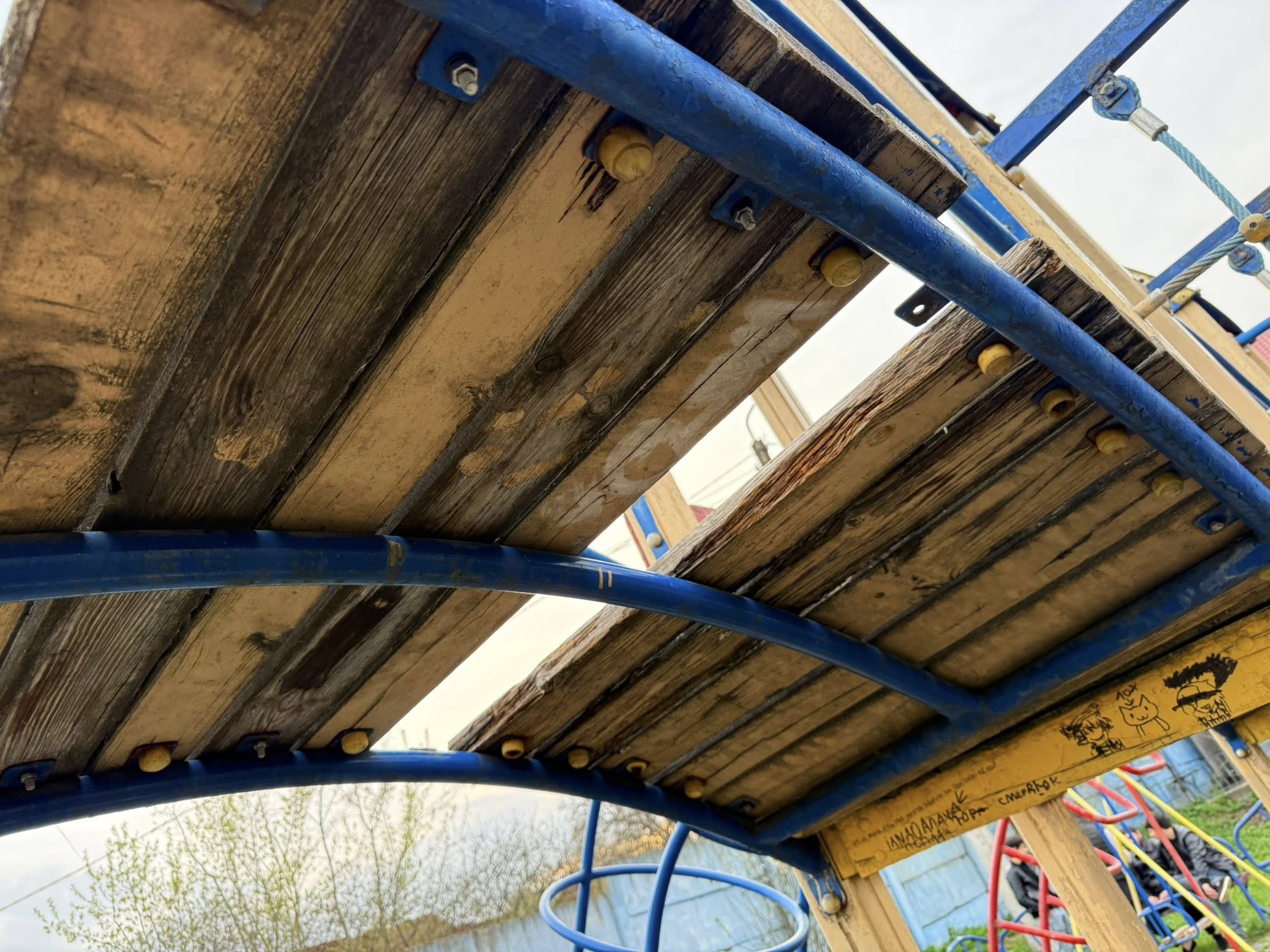 672100331_2472312416534192_6131000309081759726_n.jpg