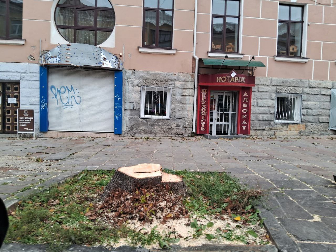89.jpg