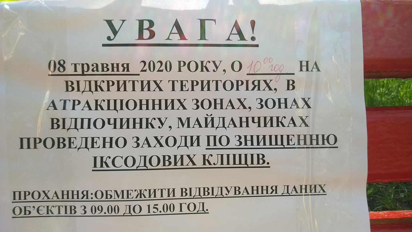 96584983 3165123276852960 5573723959330865152 n