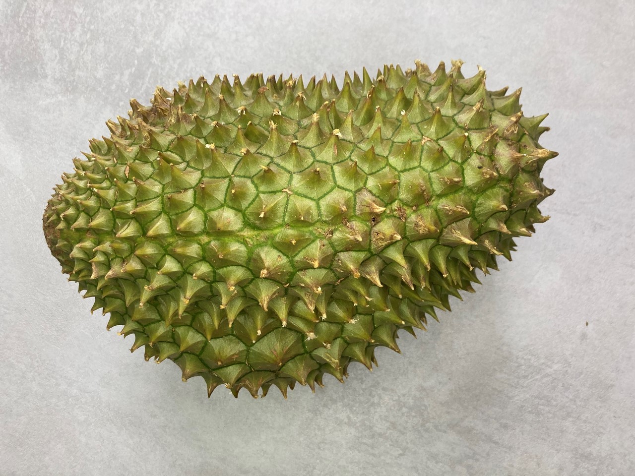 M4_durian-7.jpg