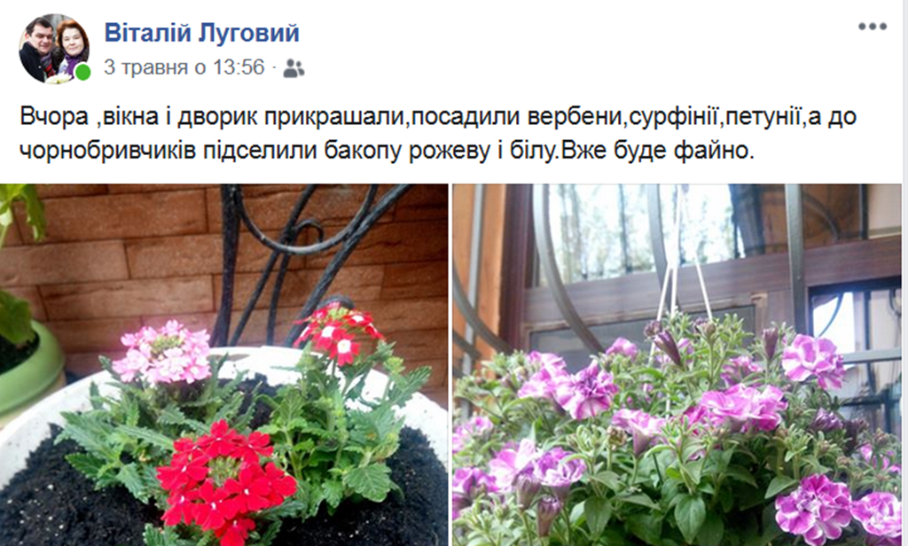 Snymok1