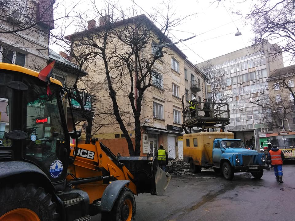 derevo01.jpg