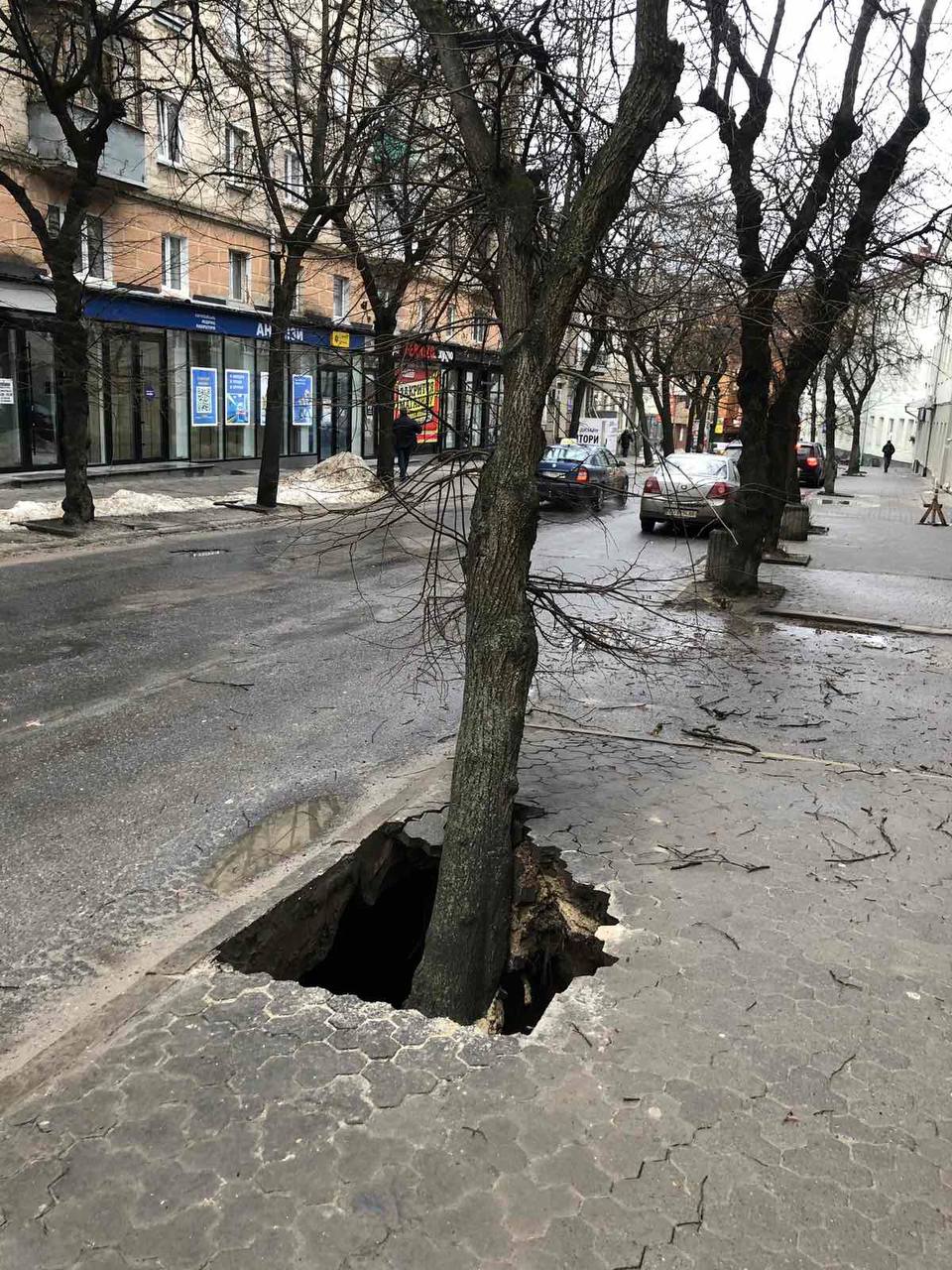 derevo2.jpg