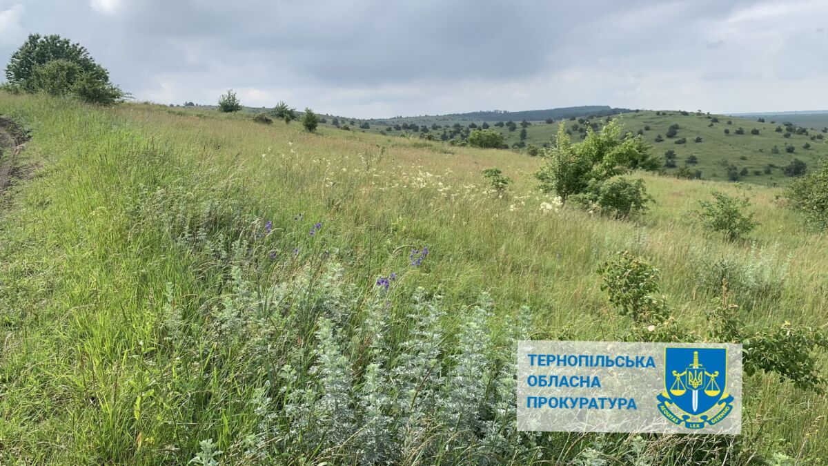 foto_tovtroviy_stepa_prokuratura.jpg