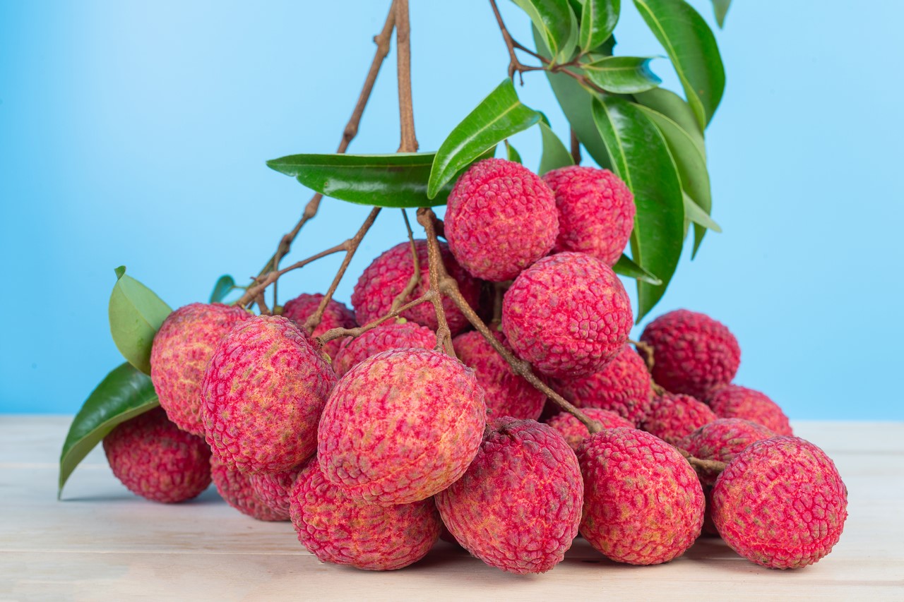 hP_lychee-fruit-photography.jpg