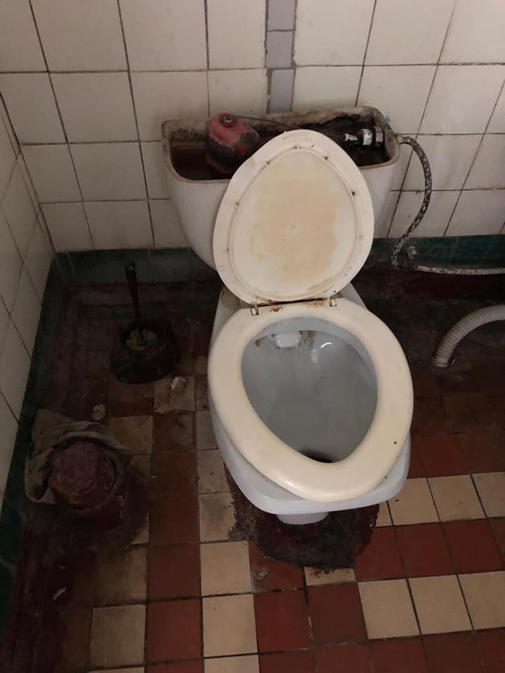 licarniia3.jpg