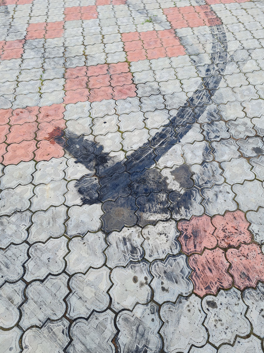 lysonia33.jpg