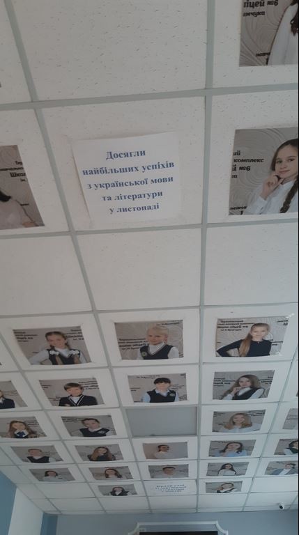 osvita_stelia213.jpg