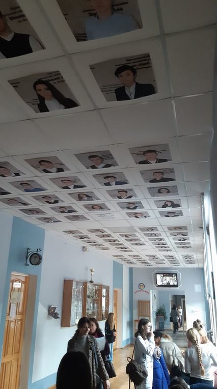 osvita_stelia22.jpg