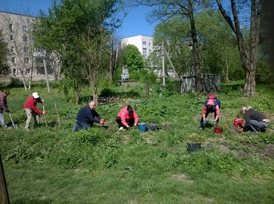 park2.jpg