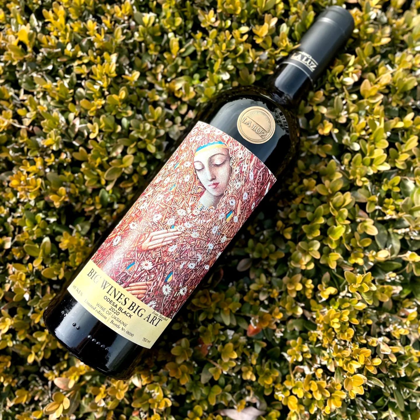 premyera-vyna-big-wines-big-art-limited-edition-ivan-marchuk-4.jpg