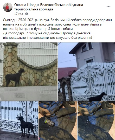 screen_sobaka_vrysyv.jpg