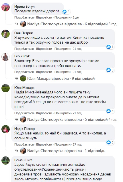 sosna22.jpg