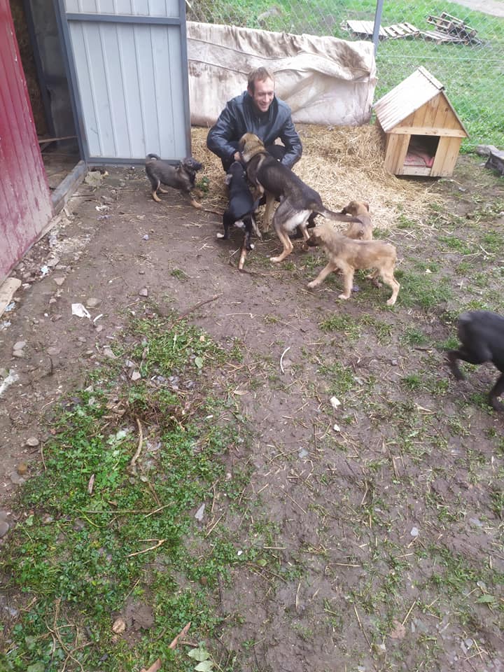 zalishchyk7.jpg