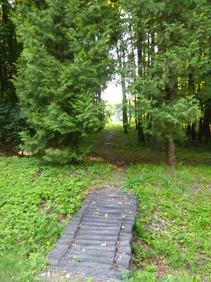 kurmanka.jpg