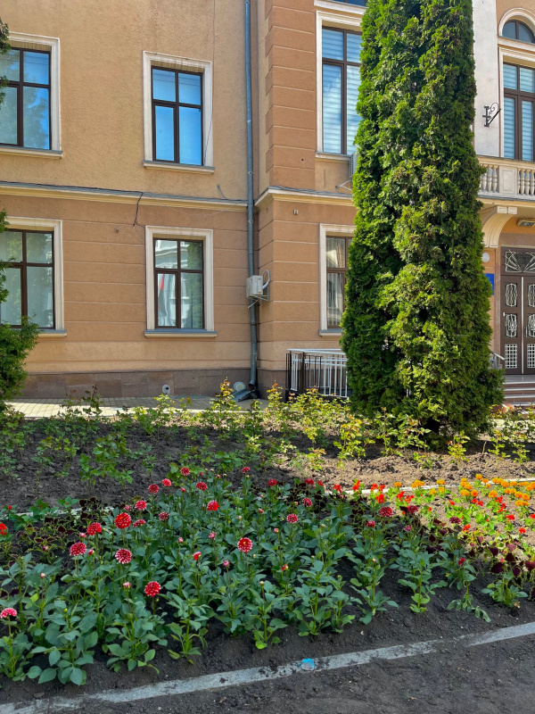 kvitniki-27052024-1.jpg