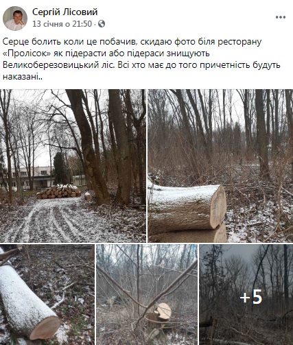 lis.jpg