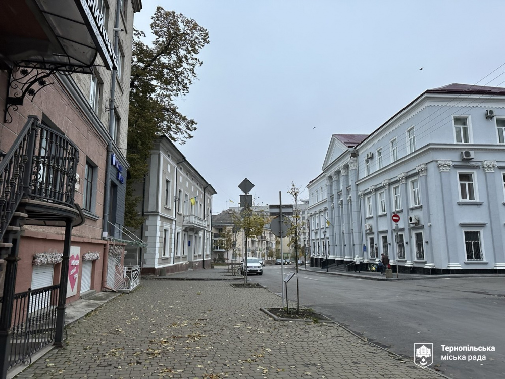 listopadova-241025_1.jpg