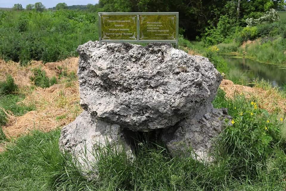 medobory2.jpg