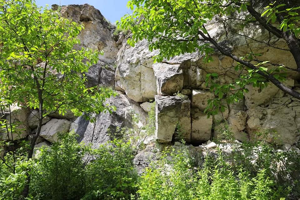 medobory3.jpg