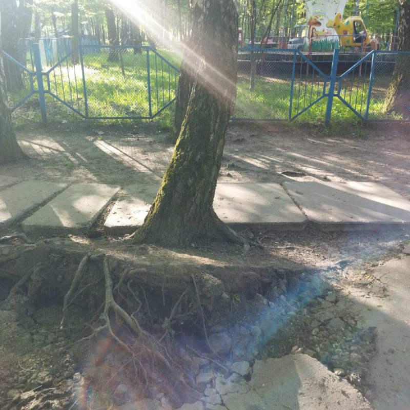 park-natsionalnogo-vidrodgennya-06_05_26---1.jpg