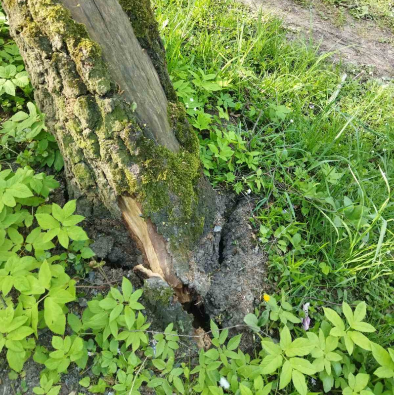 park-natsionalnogo-vidrodgennya-06_05_26---3.jpg