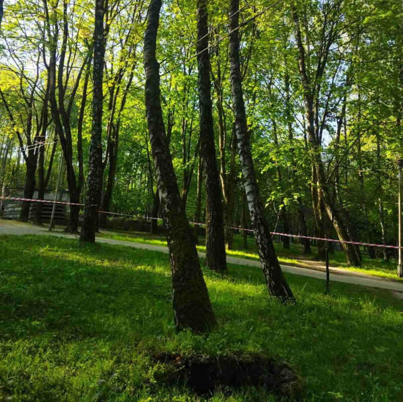 park-natsionalnogo-vidrodgennya-06_05_26---4.jpg