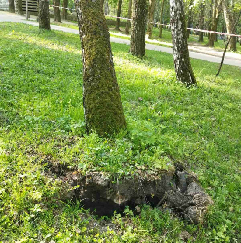 park-natsionalnogo-vidrodgennya-06_05_26---5.jpg