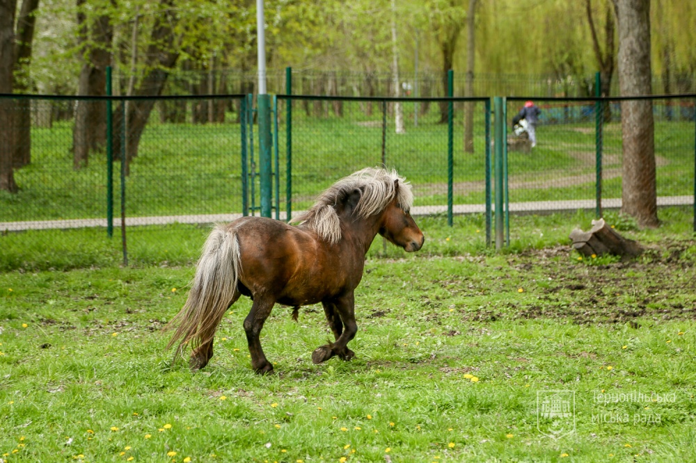 park topilche 03 05 2022