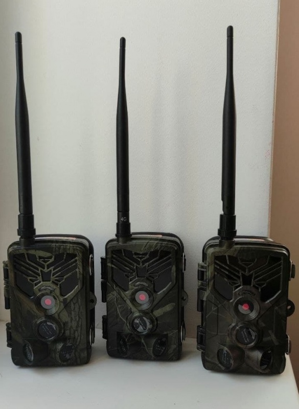 photo 2021 06 09 08 47 39