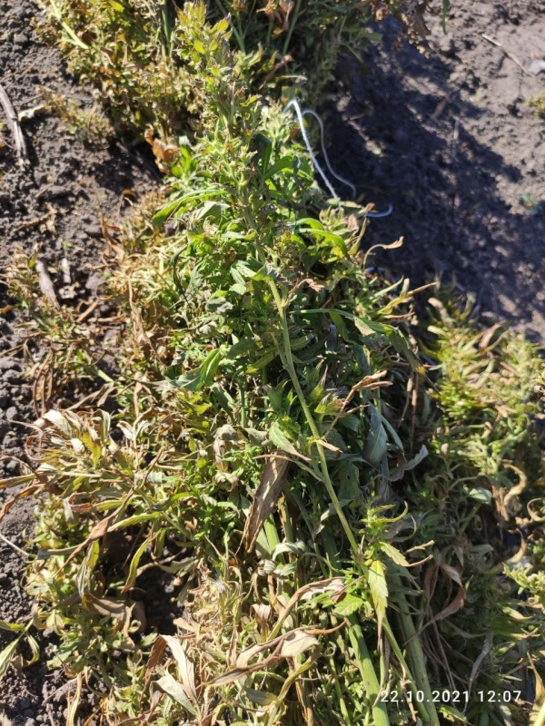 photo 2021 10 22 13 26 52
