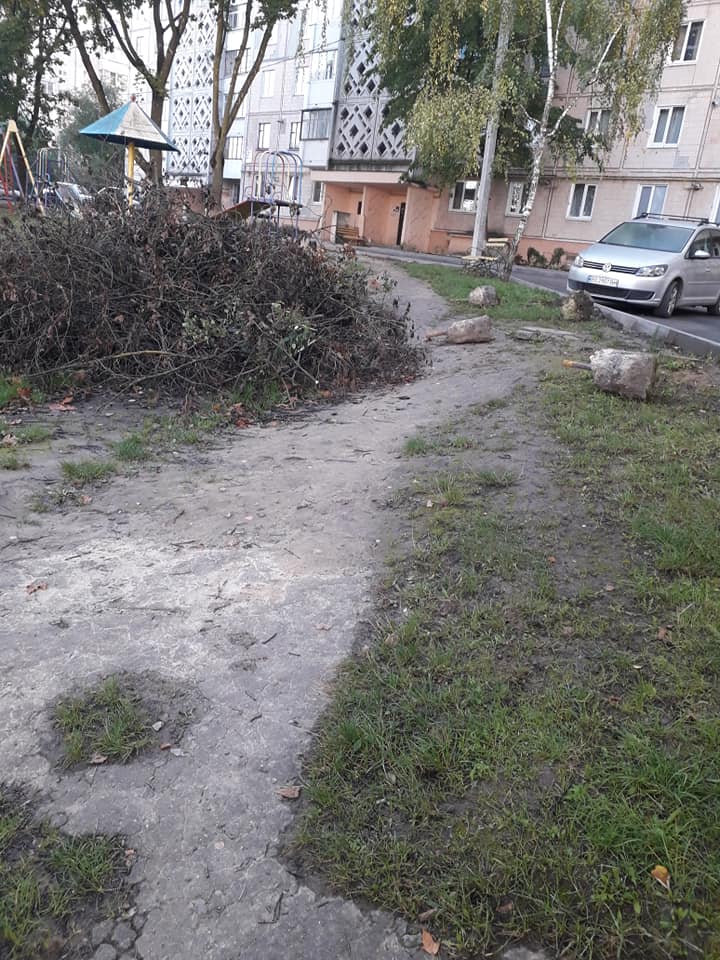 photo2.jpg