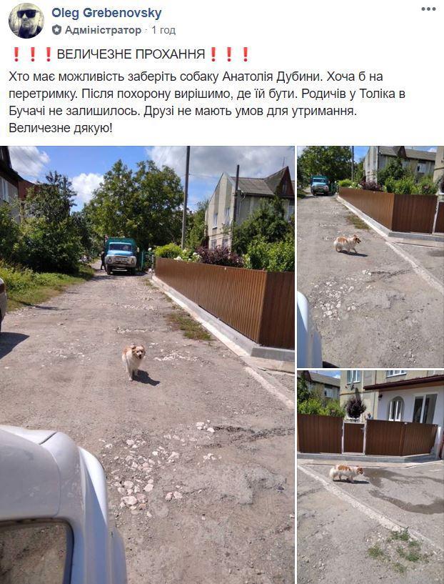 photo 2020 07 21 15 06 33