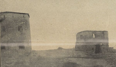 s81043542