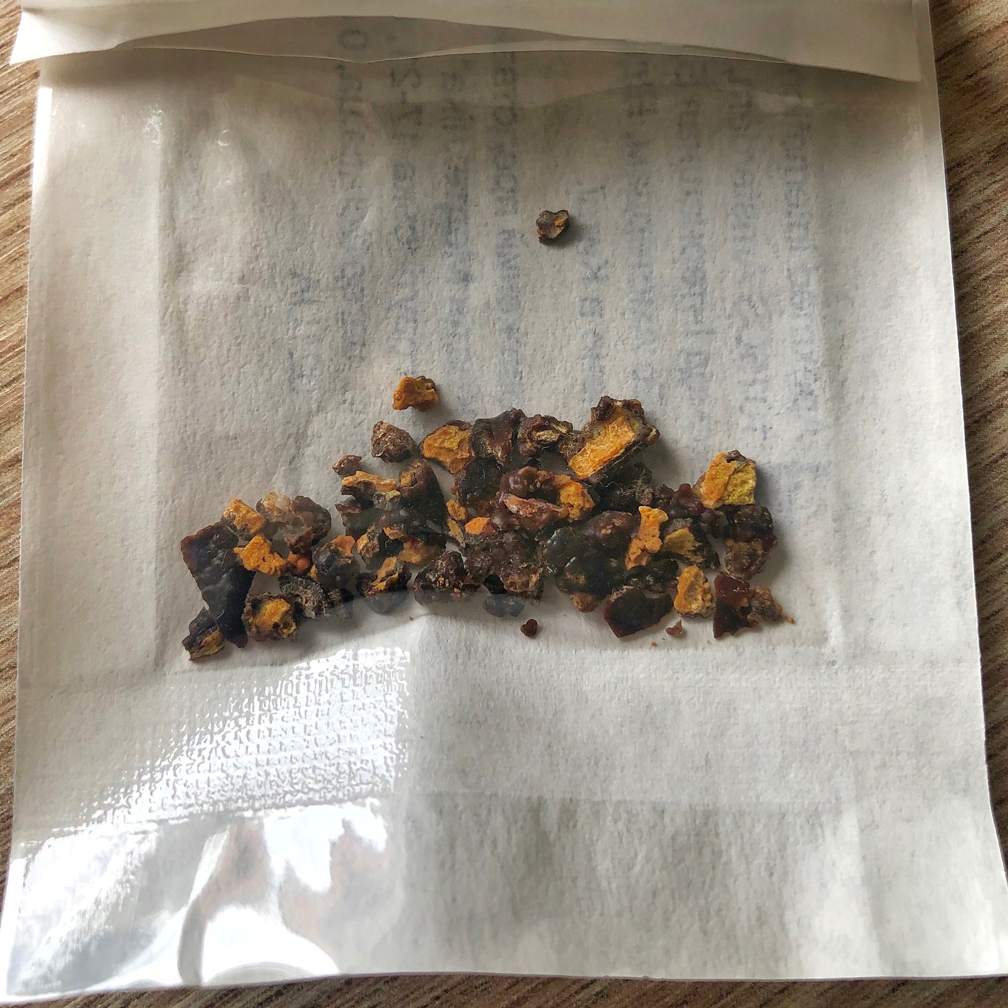 terebolia_hirurhia5.jpg