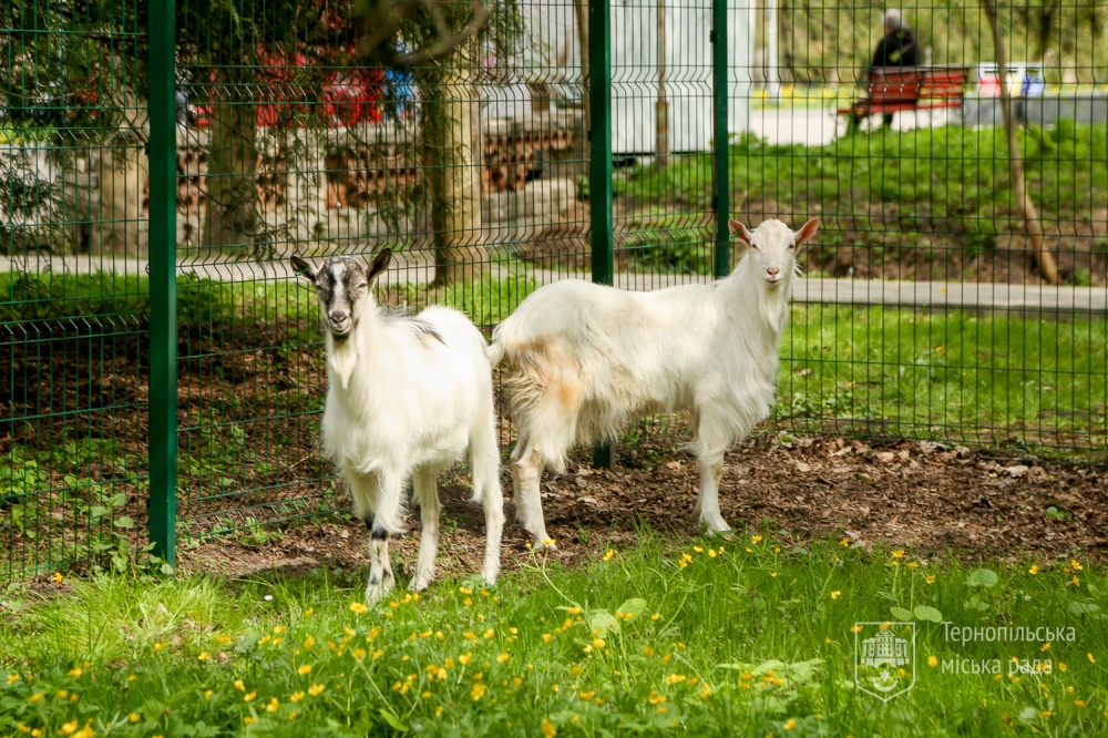 zookutok park 03 05 2022