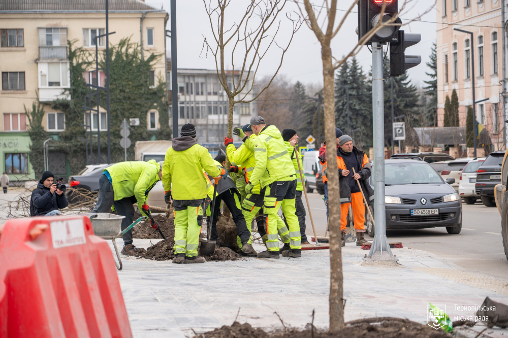 дерева_на_грушевського_23.12.25_-_7.jpg